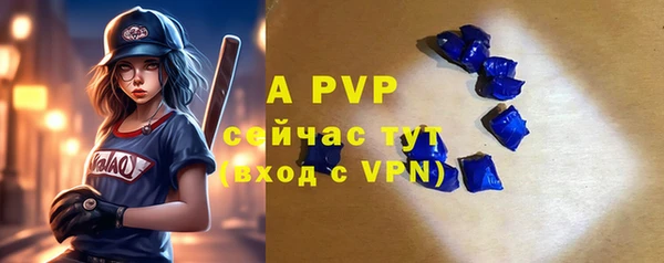круглые Белокуриха