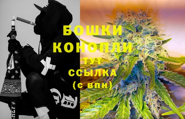 дживик Белоозёрский