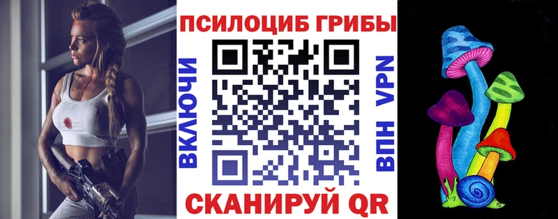 цена   Инза  Псилоцибиновые грибы Magic Shrooms 
